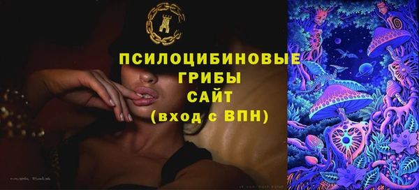 тгк Осинники