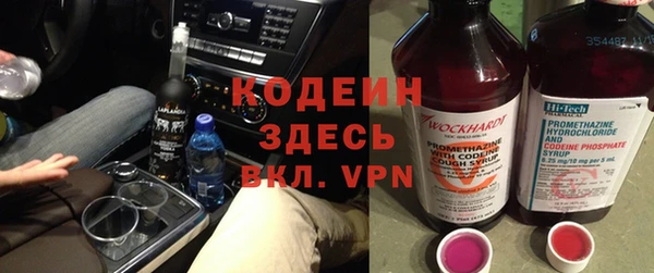 молекула духа Осташков