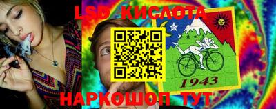 мяу мяу мука Кингисепп