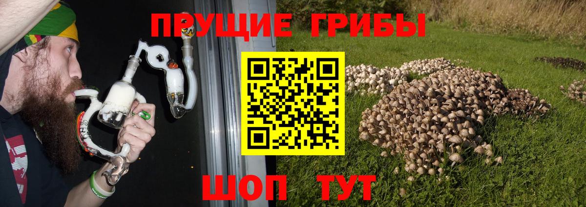 Галлюциногенные грибы MAGIC MUSHROOMS Куйбышев