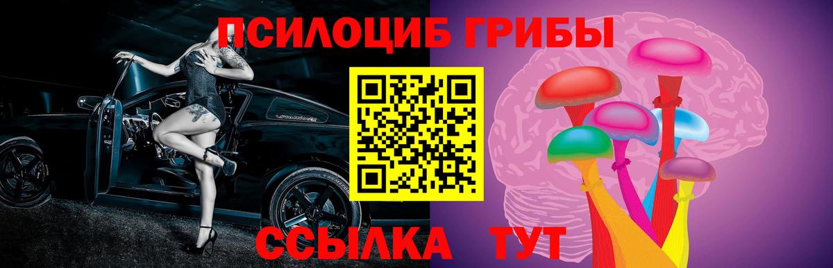 Псилоцибиновые грибы Psilocybe  что такое   Куйбышев 